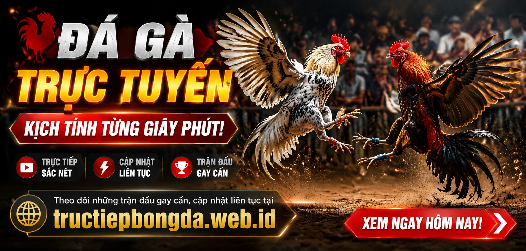 Đá gà trực tuyến tại tructiepbongda.web.id