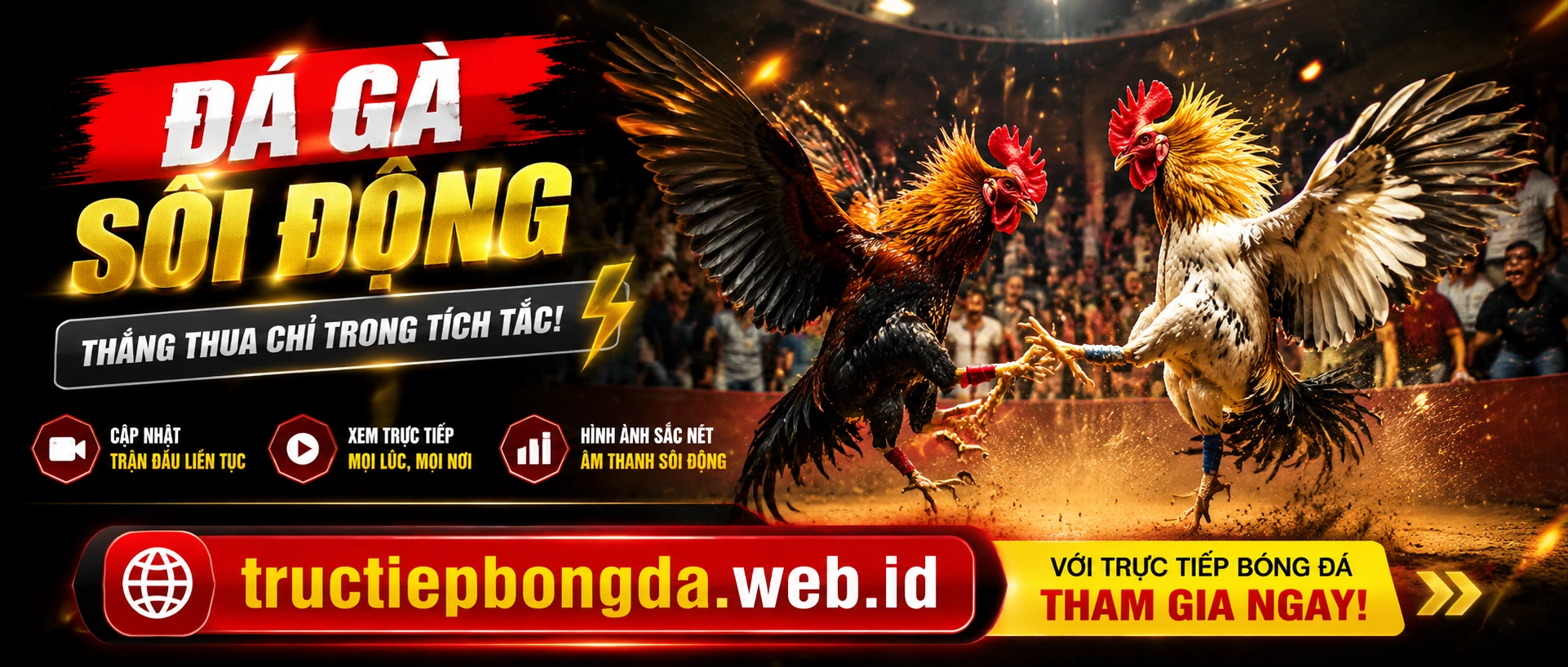 Kèo đá gà và trải nghiệm xem trận
